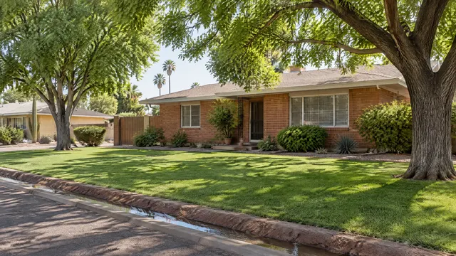 Mature shade trees and an irrigated lawn in front of a small 1950s brick home on a quiet older Tempe street, flood-irrigation berm along the yard edge