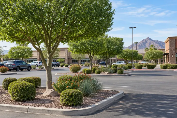 Retail shopping center parking lot islands with trimmed trees and clean desert landscaping