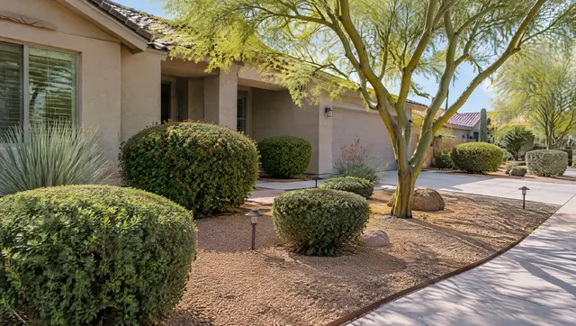 Well-kept Tempe front yard on a maintenance visit: freshly pruned desert shrubs, raked decomposed granite, edged walkway and a trimmed palo verde tree, stucco home, morning light
